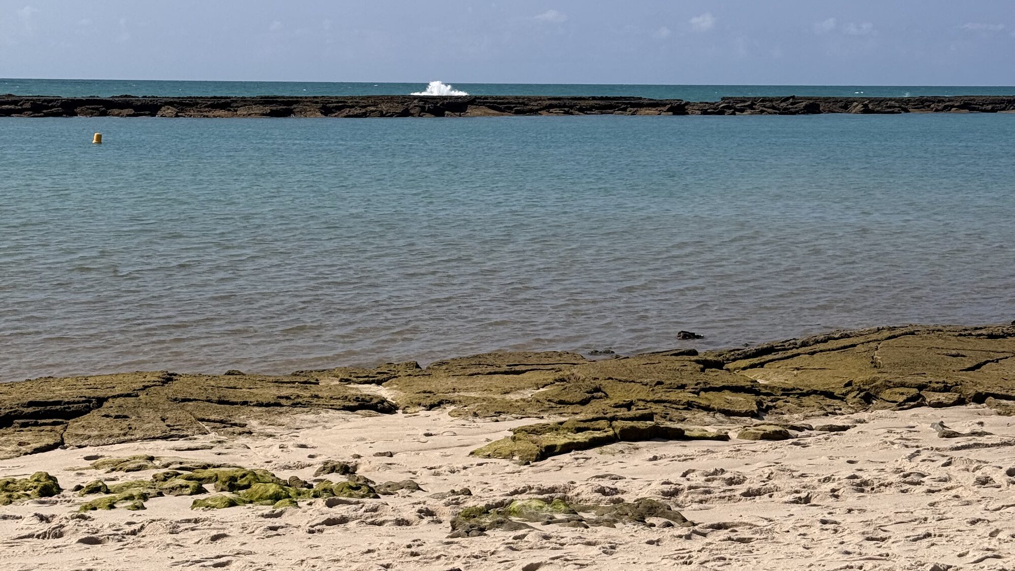 A praia de Barra de São Miguel, com areia clara e o mar protegido pelos recifes